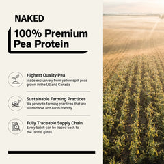 Chocolate Peanut Butter Pea Protein Powder | Naked Pea - 5LB